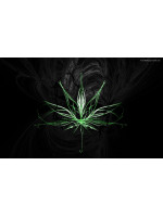 Instruction manual - medical cannabis